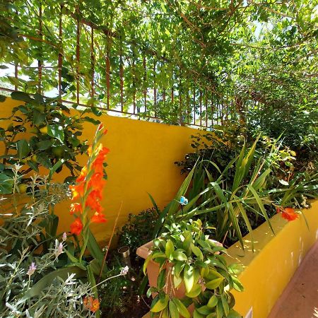 Casa Maestro Lelo - Acogedora Casa Rural Canaria Con Patios Y Jardines De Flores Las Palmas de Gran Canaria Exterior foto